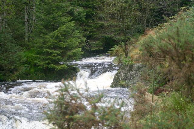 River Severn - Afon Hafren - geograph.org.uk - 111542