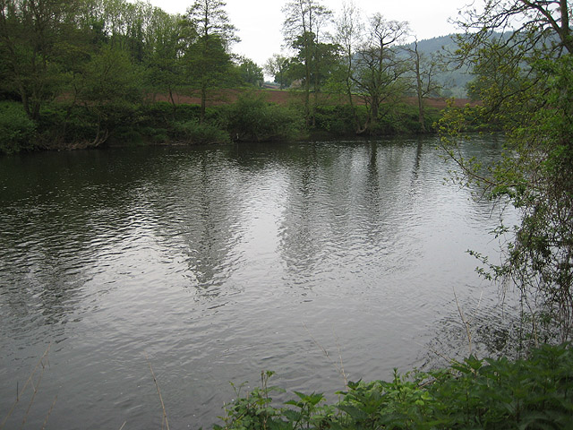 River Wye from the Wye Valley Walk - geograph.org.uk - 797625