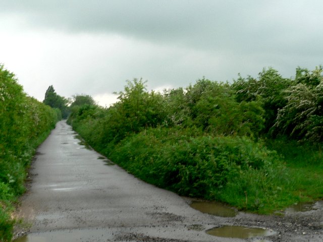 File:South Ings Lane, North Cave - geograph.org.uk - 185616.jpg