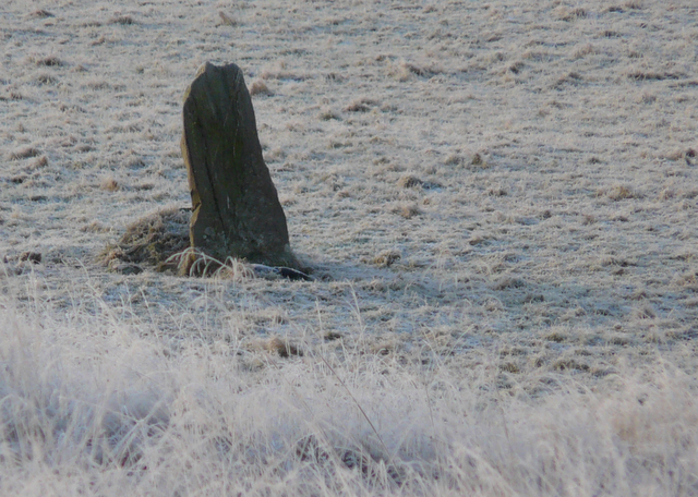 File:Standing stone at Invershin (detail) - geograph.org.uk - 658523.jpg