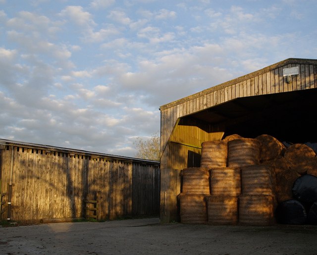 File:Sun, wood and hay - geograph.org.uk - 589090.jpg