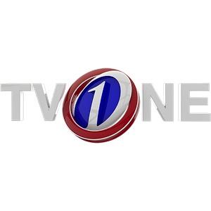 File:TV One Pakistan logo.png