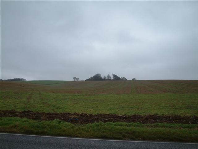 File:The Beeches, as seen from the A338 - geograph.org.uk - 113651.jpg