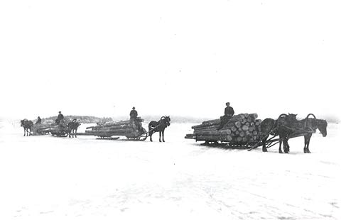 File:Transport of lumber by horse 1930s Päijänne.jpg