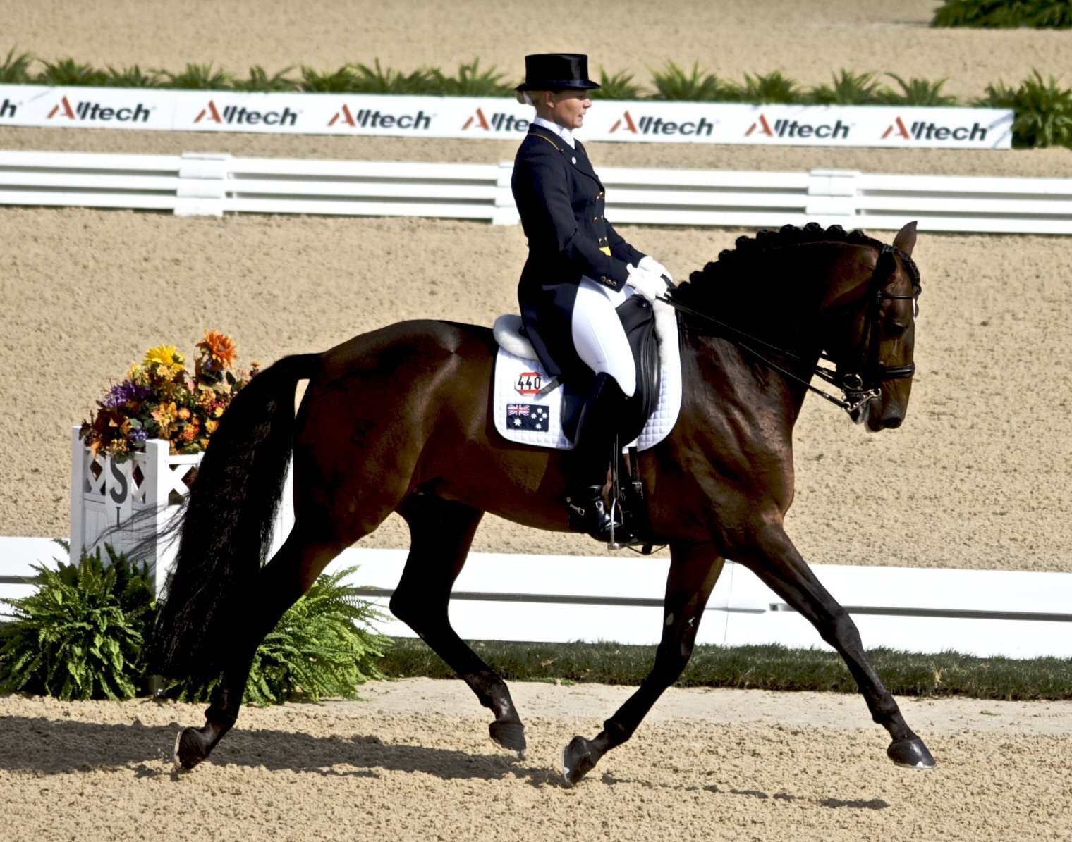 english riding attire