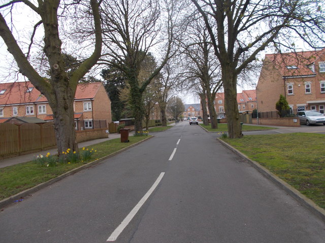 File:Woodland Drive - Walton Road - geograph.org.uk - 5325370.jpg