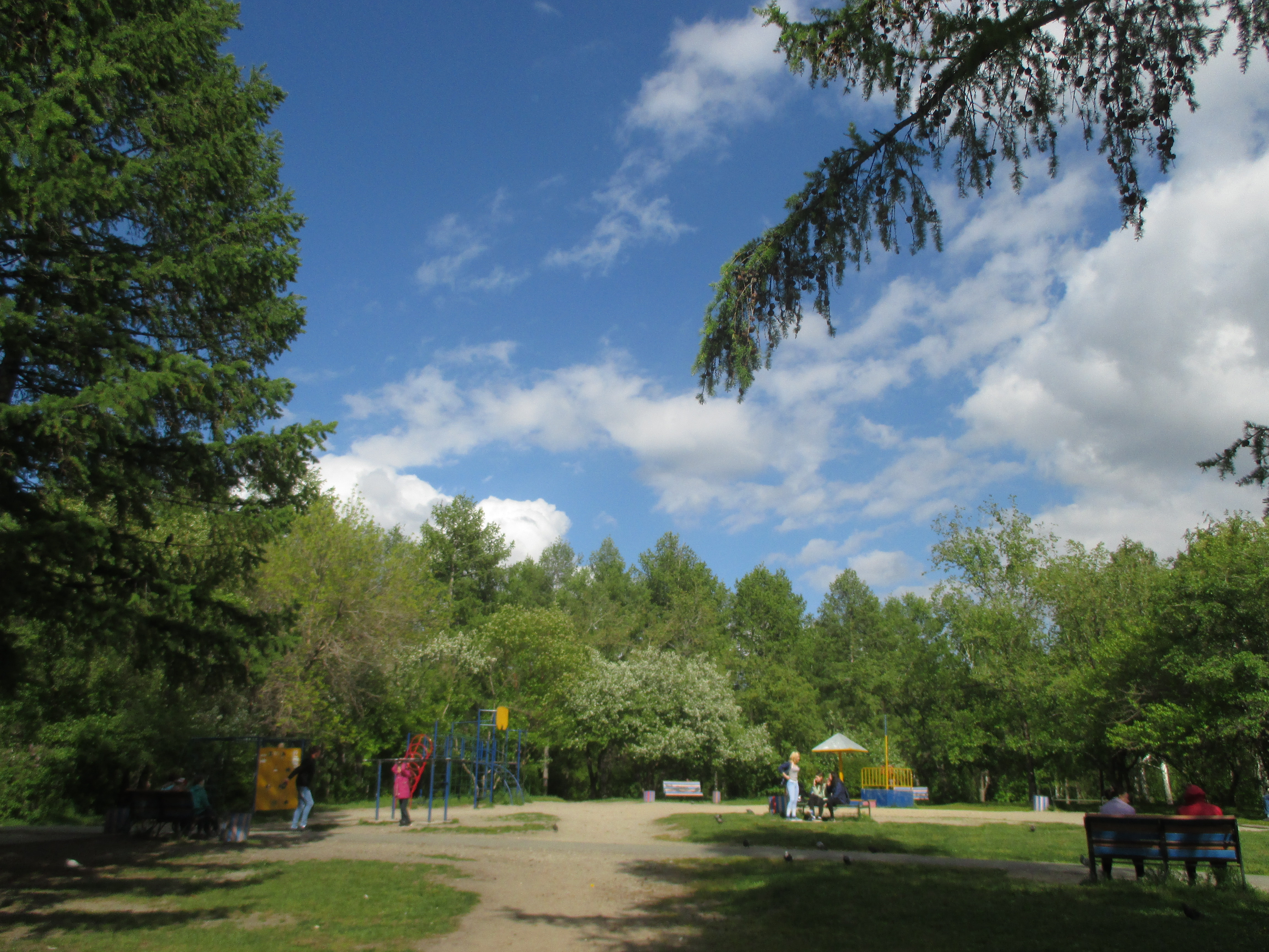 Парк чкалова екатеринбург фото