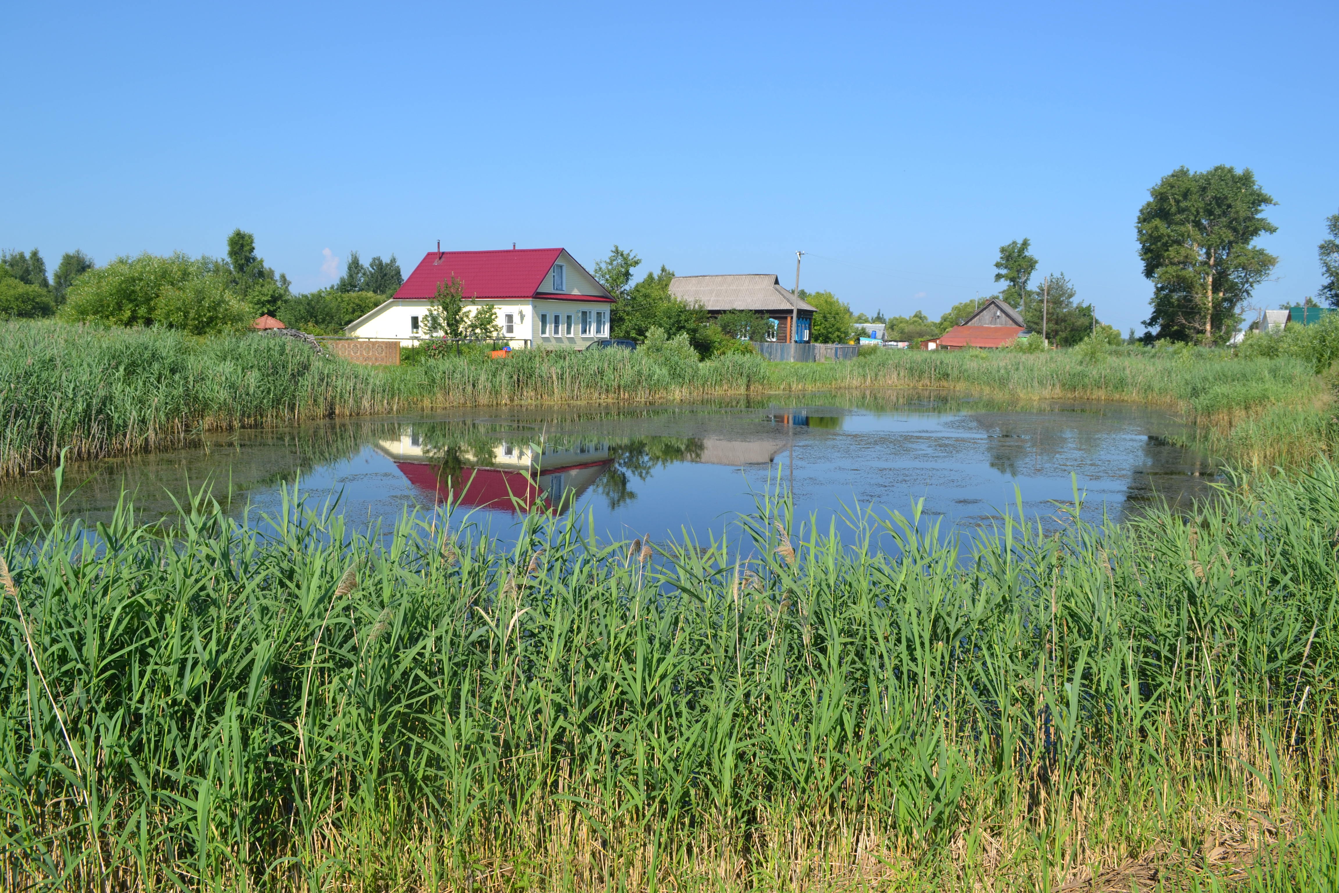 Фото пруда в деревне