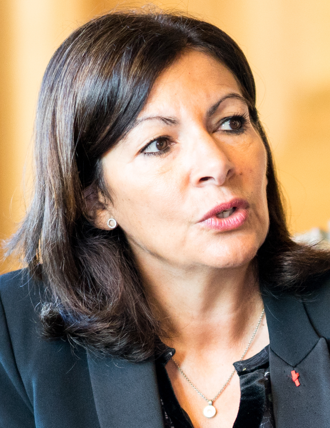 Anne Hidalgo Wikidata