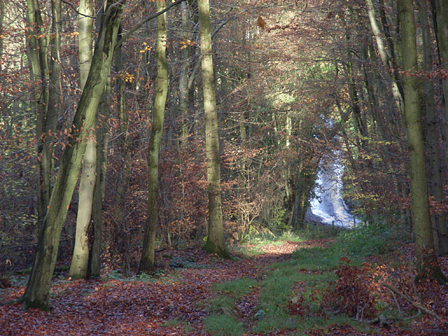 File:Ashley Hill - geograph.org.uk - 289125.jpg