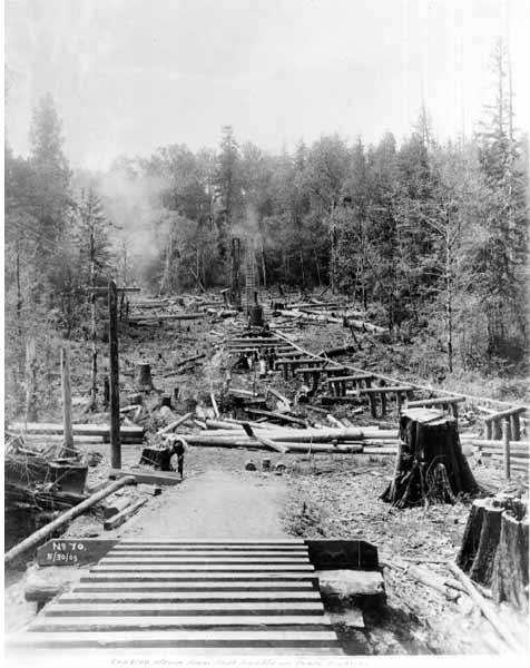 File:Cable incline from first trestle, May 30, 1903 (SPWS 389).jpg