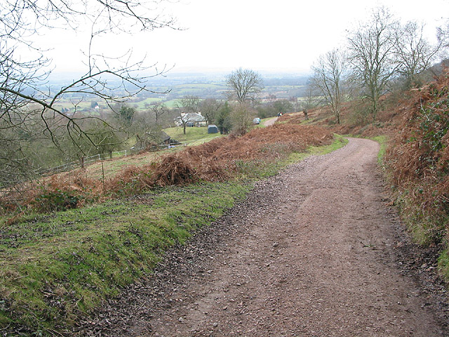 File:Descending footpath on Swinyard Hill - geograph.org.uk - 646643.jpg