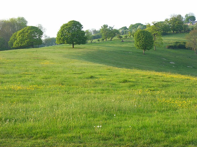 File:Downland, Whitchurch - geograph.org.uk - 427314.jpg