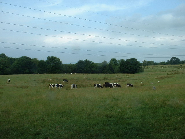 File:Farmland near Over Kellet - geograph.org.uk - 30397.jpg