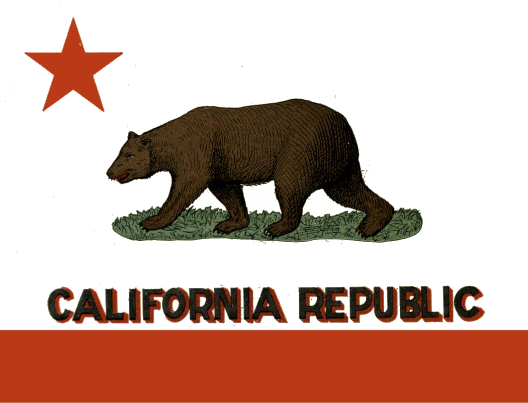 ブログ カルフォルニア州 フラッグ P285 CALIFORNIA REPUBLIC 旗 - その他