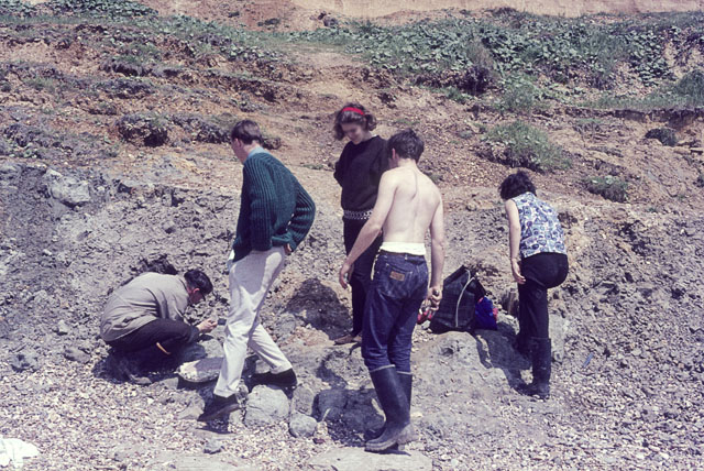 File:Fossil hunting at Barton-on-Sea - geograph.org.uk - 1555003.jpg