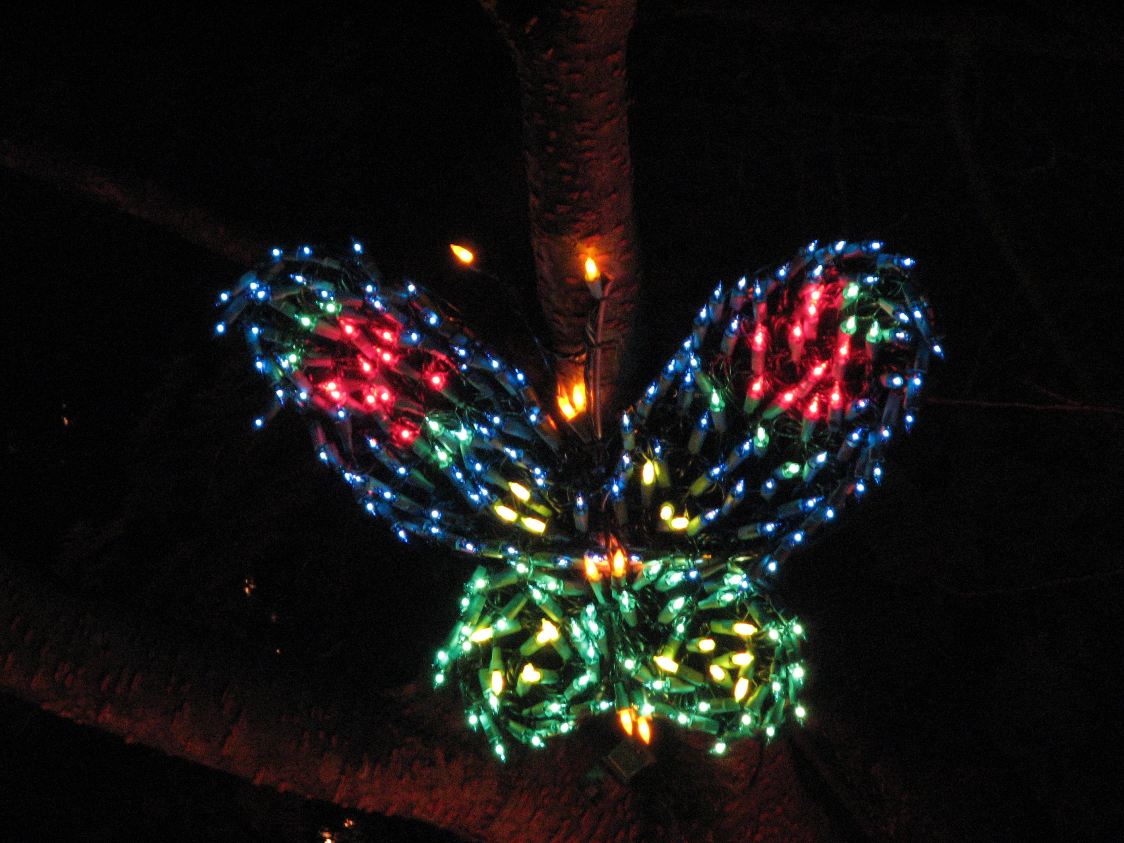 File Garden D Lights 2008 At The Bellevue Botanical Garden Img056