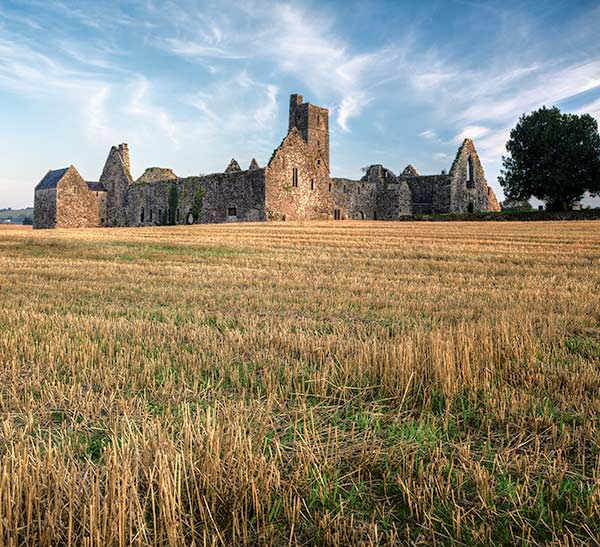 File:Kilcrea Friary, Ovens, Co. Cork.jpg