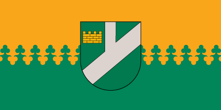 File:LVA Pļaviņas flag.png