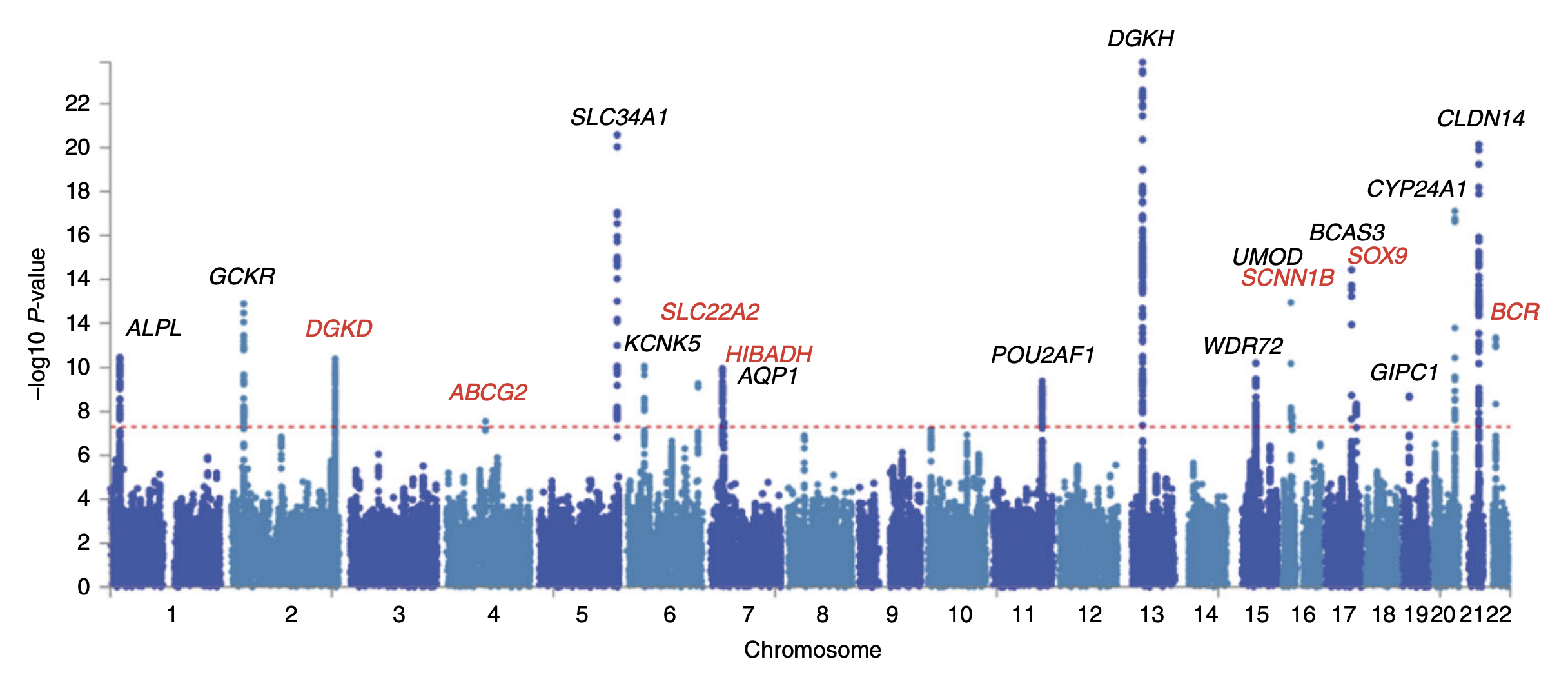 Allele frequency and effect sizes for genetic variants associated