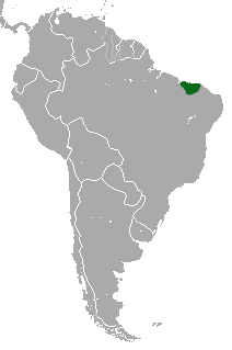 Maranhao Қызыл қолды Howler area.png