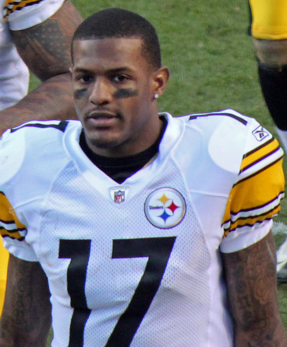 Mike Wallace (American football 