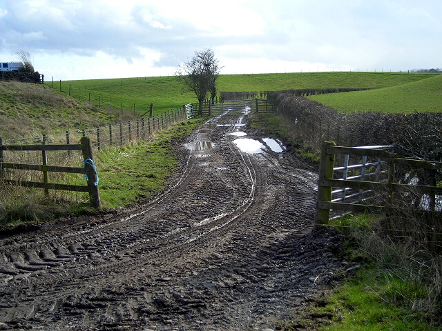 File:Muddy Track Near Tinwald Parks - geograph.org.uk - 354758.jpg