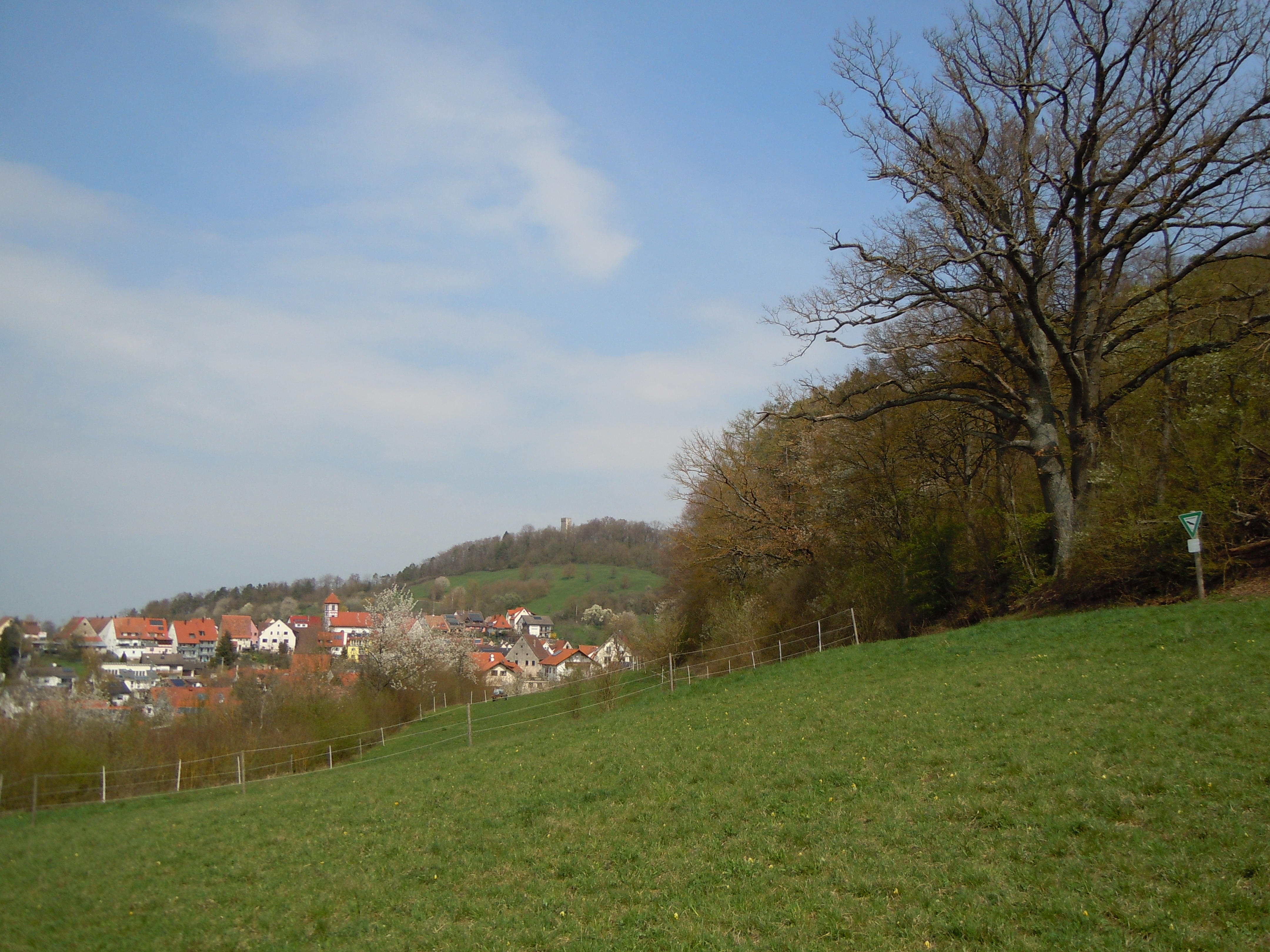 Der Westhang des Naturschutzgebiets Rappenberg (Schutzgebiets-Nr. 4.263). Im Hintergrund die Ortscha...