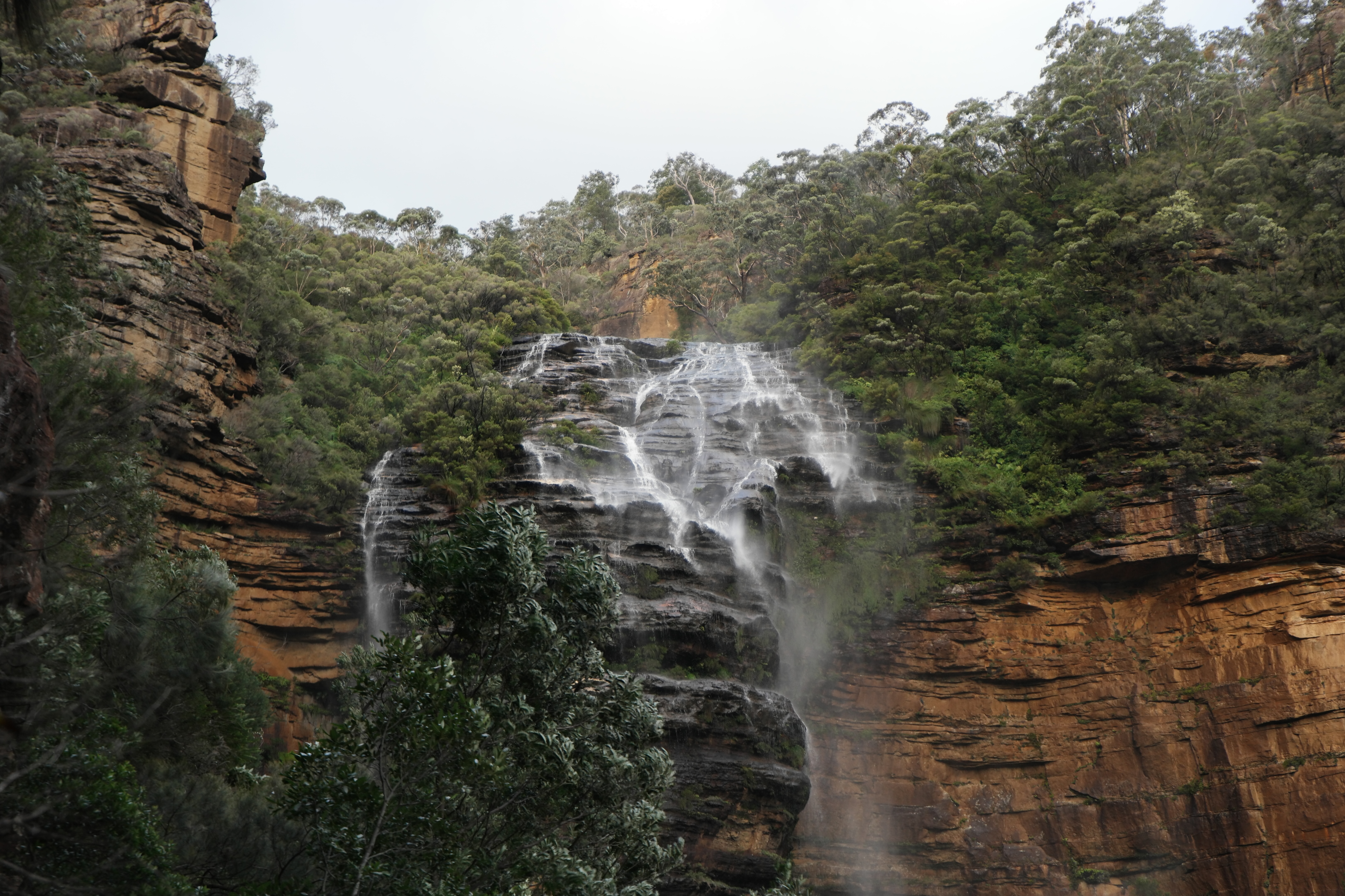 Blue trail. Blue Mountains National Park. Trails to Azure.