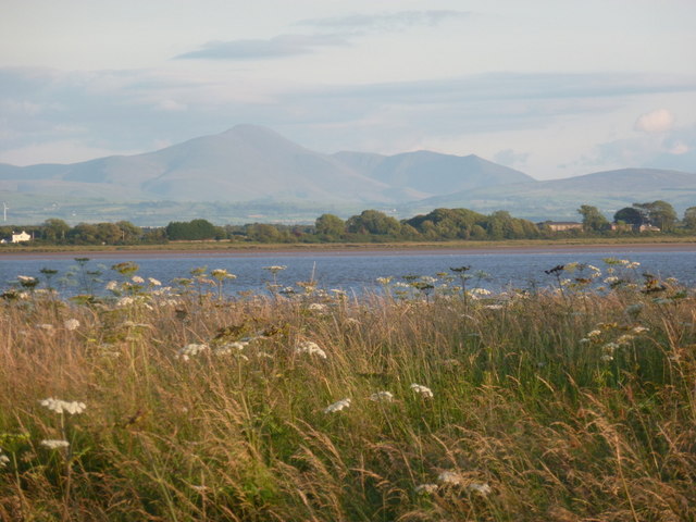 Newbie, view over the Eden towards the hills of England - geograph.org.uk - 2518520