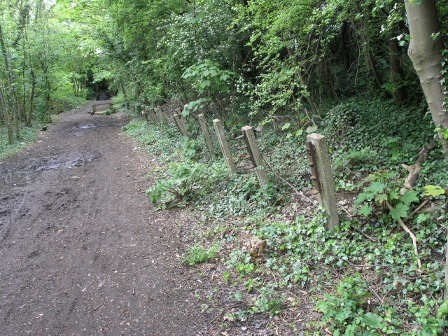 File:Old Railway Footpath - geograph.org.uk - 18898.jpg