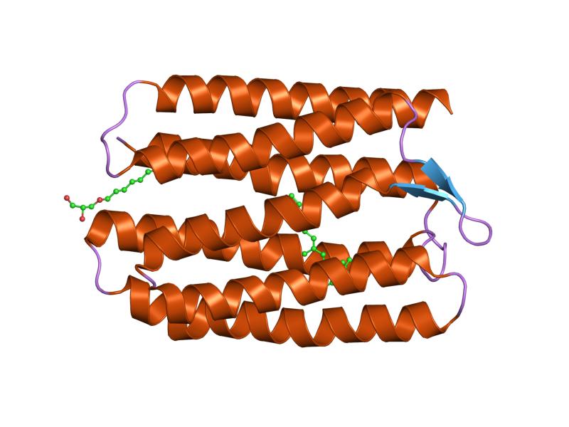 image: a 7-transmembrane protein from Wikimedia Commons