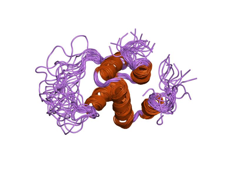 File:PDB 1pn5 EBI.jpg