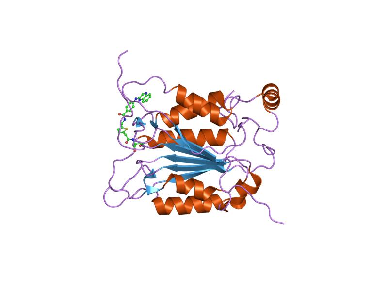 File:PDB 1rwm EBI.jpg