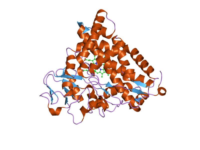 File:PDB 1yrc EBI.jpg