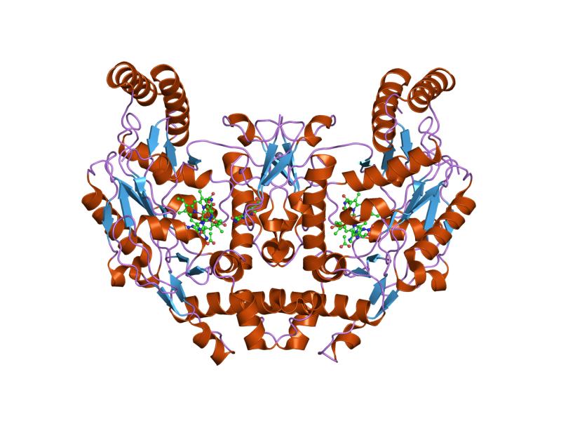 File:PDB 2hx4 EBI.jpg