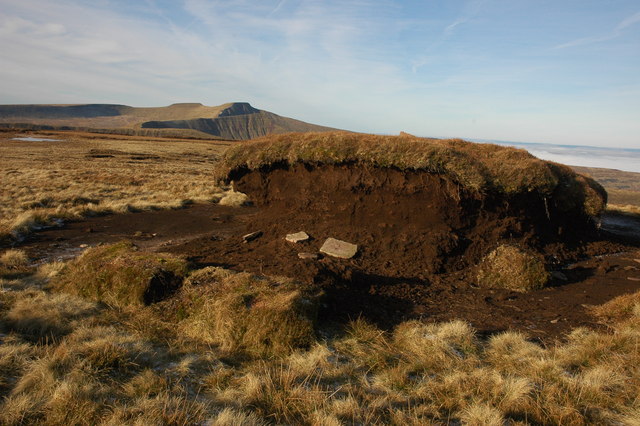 File:Peat hagg at Bwlch y Ddwyallt - geograph.org.uk - 1102727.jpg