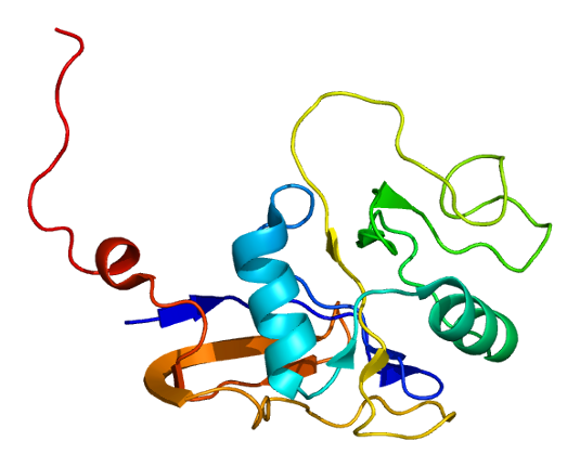 File:Protein CD44 PDB 1poz.png