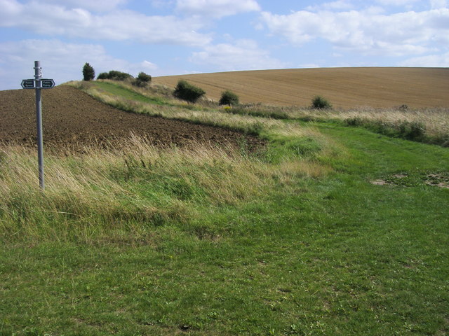 Public Byway - geograph.org.uk - 1552804