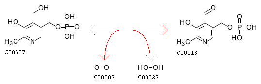 Pyridoxinová reakce.gif