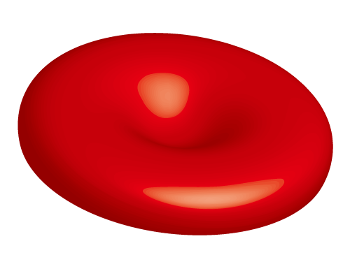 File:Red blood cell.png