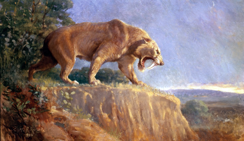 Smilodon by Charles R Knight