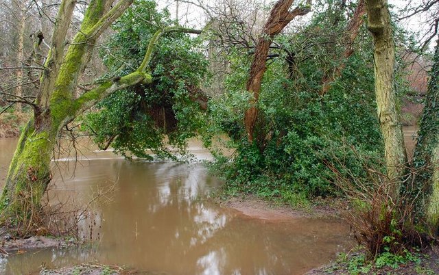 File:The River Lagan, Minnowburn near Belfast - geograph.org.uk - 654340.jpg