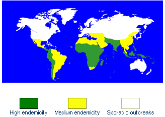 Localización del tifus mundialmente