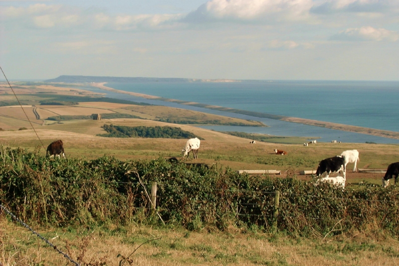 File:Wears Hill, Views - geograph.org.uk - 1722472.jpg