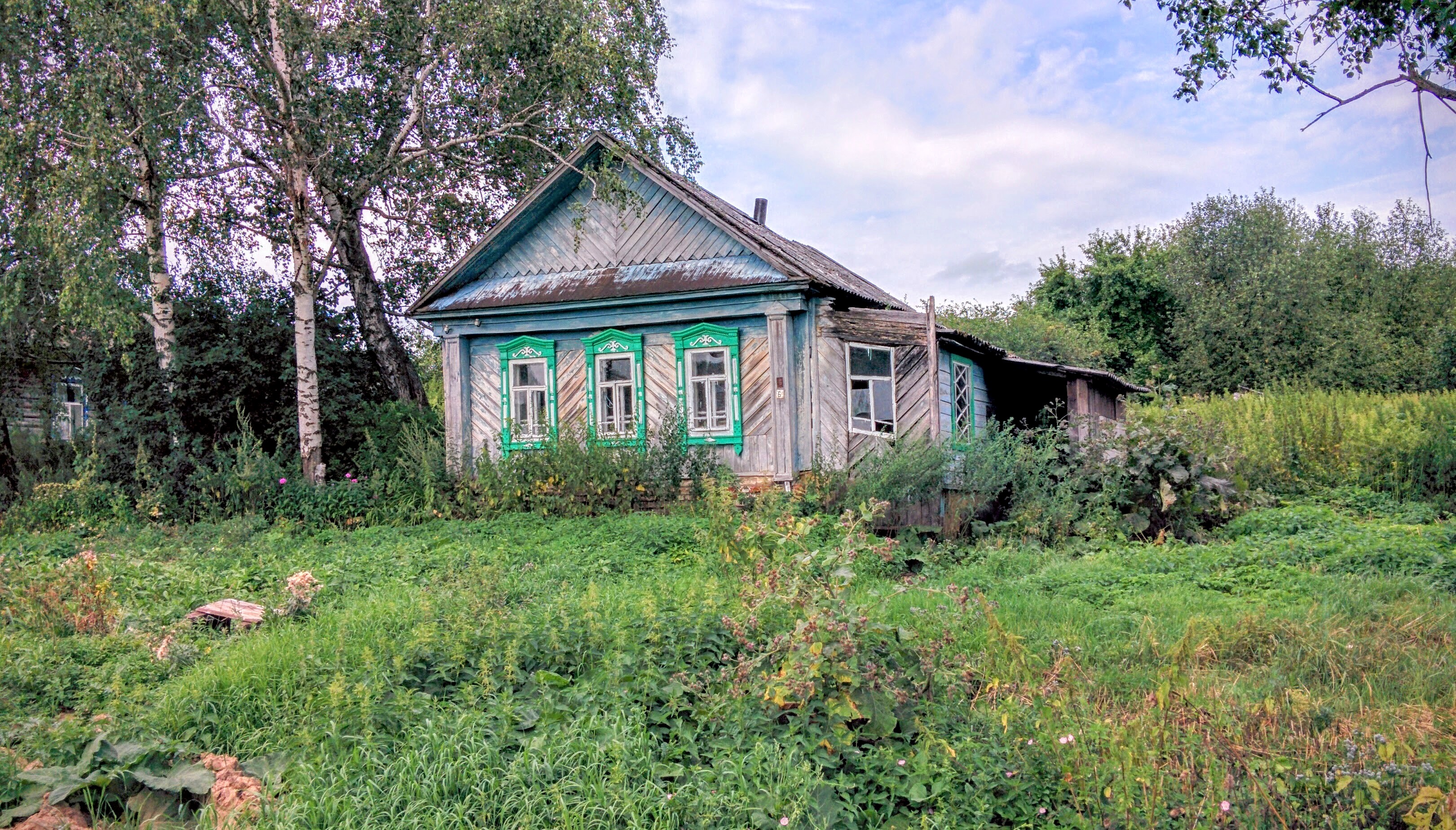 Деревня Александровка Нижегородская область