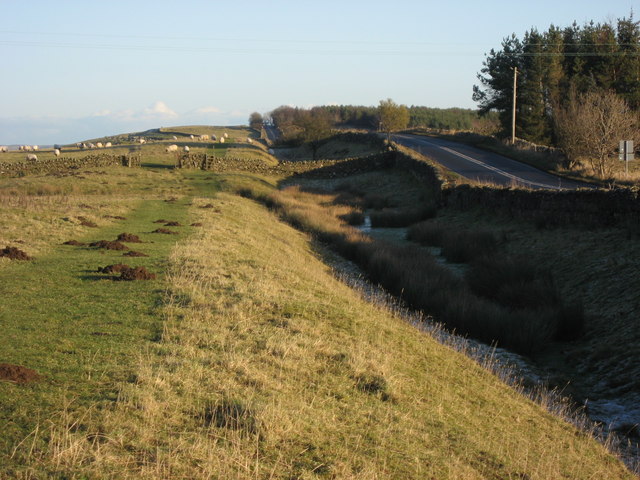 File:(The line of) Hadrian's Wall east of Brocolitia - geograph.org.uk - 1075105.jpg