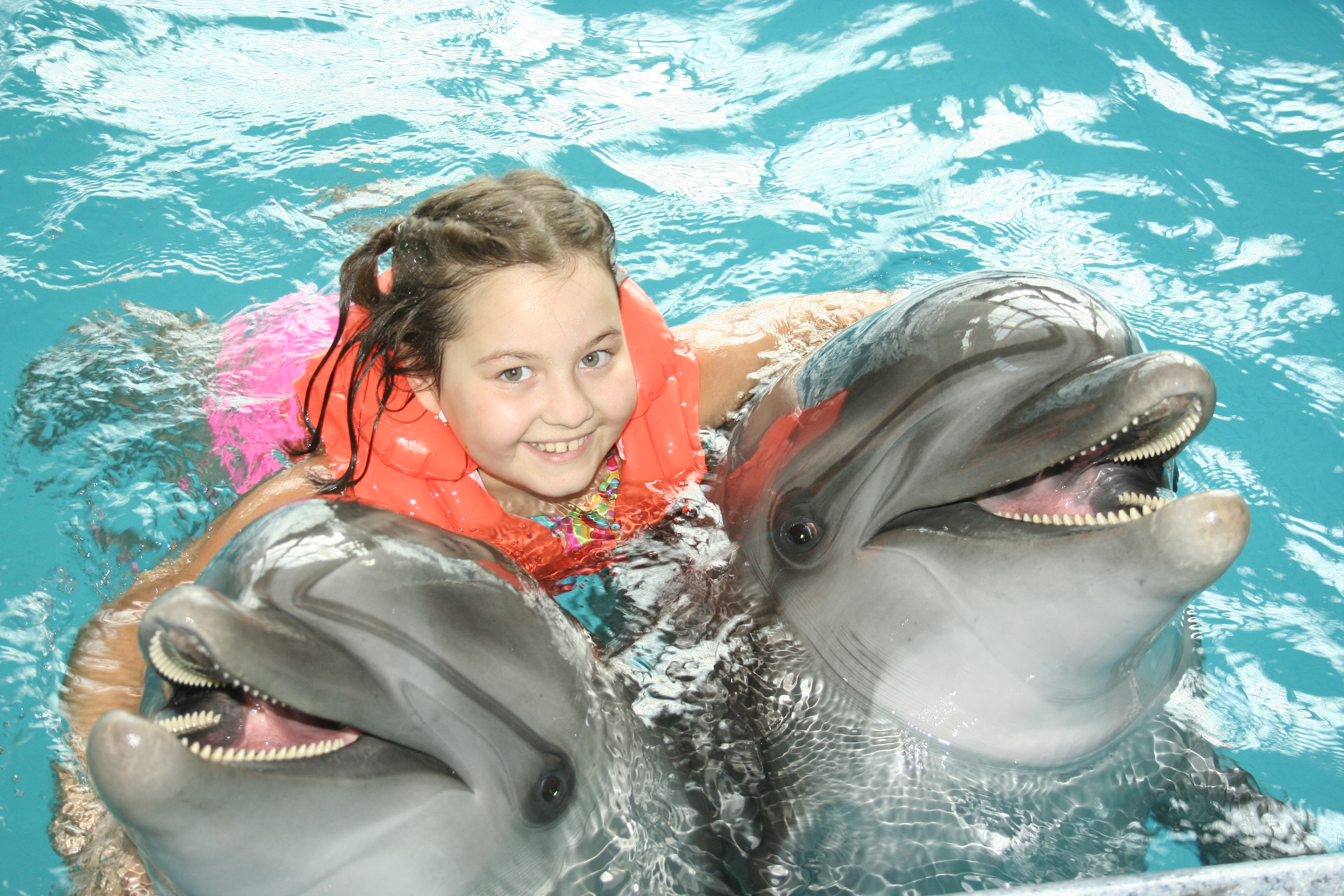 Дельфины с удовольствием разучивают. Дельфинарий Шарм-Эль-Шейх. Дельфинарий Ижевск. Плавать с дельфинами. Плавание с дельфинами в дельфинарии.