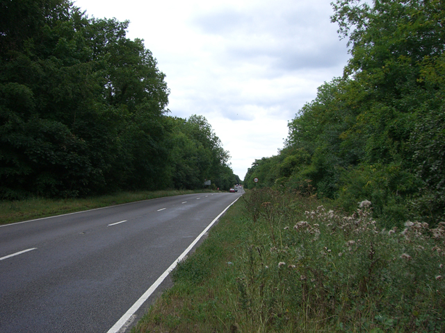 File:A31 (Hogs Back) toward Farnham - geograph.org.uk - 215261.jpg