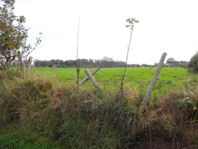 File:Ballyhosset Townland - geograph.org.uk - 2630712.jpg